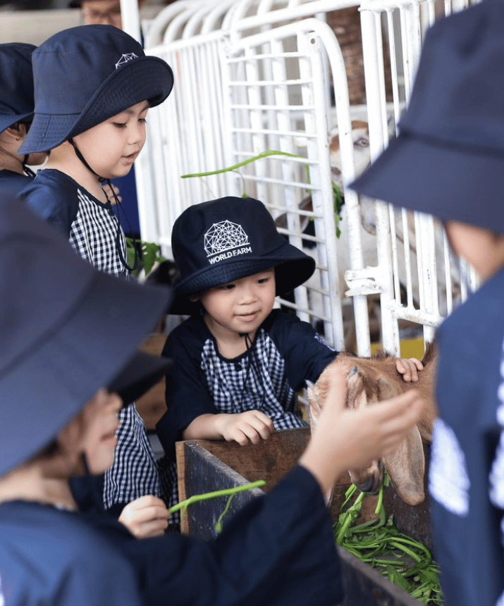 Thế giới nông trại World Farm