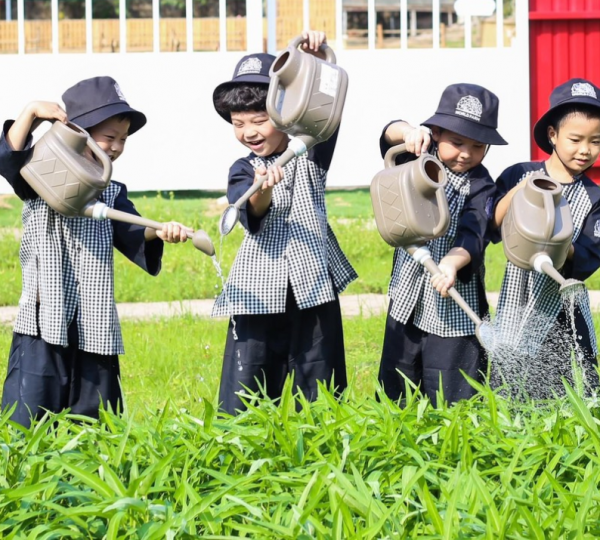 Chăm sóc cây trồng